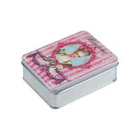 Latinha-de-Metal-Bonjour-Marie-Antoinette-Rosa